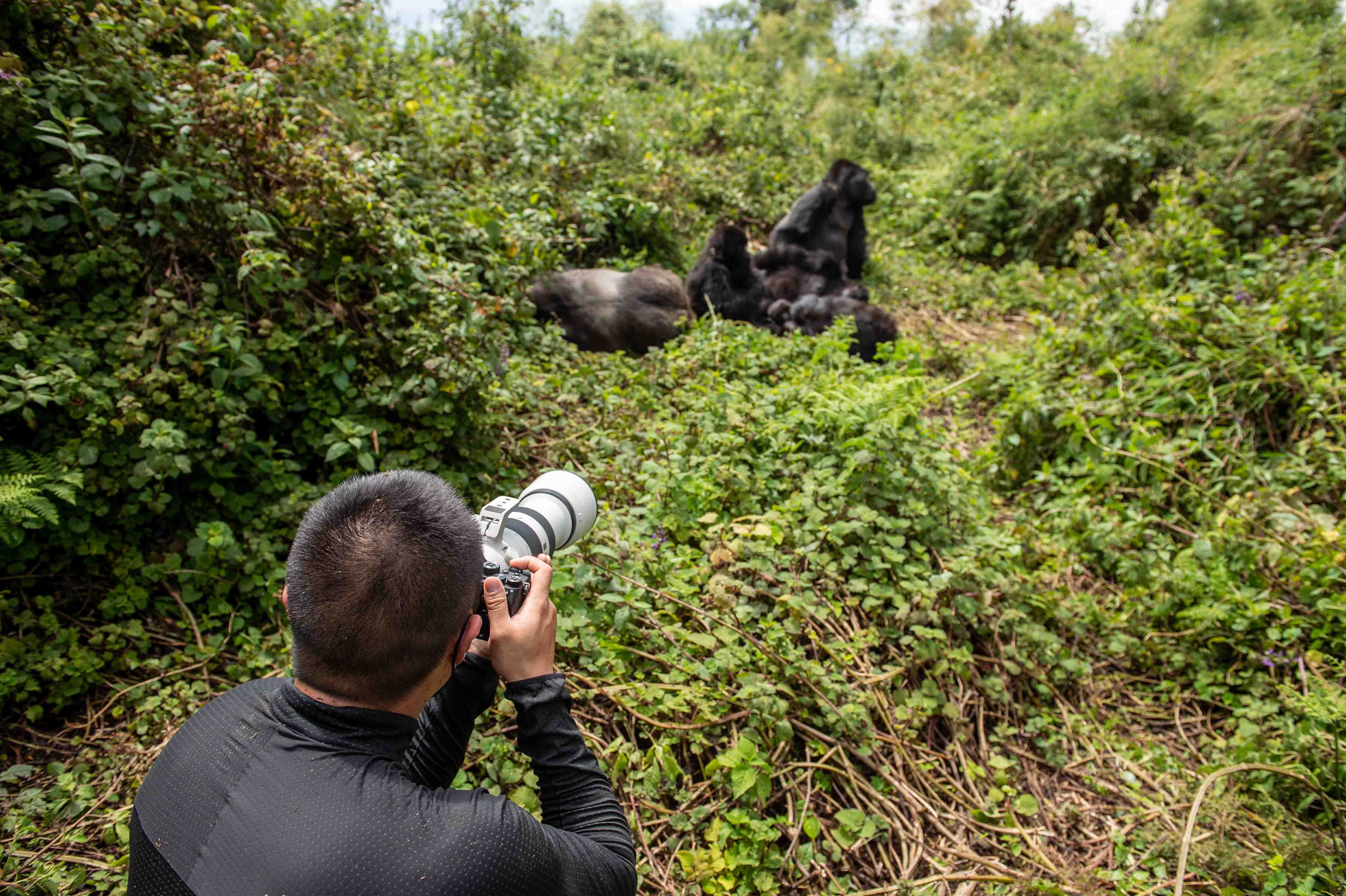 Guided Photography Safari